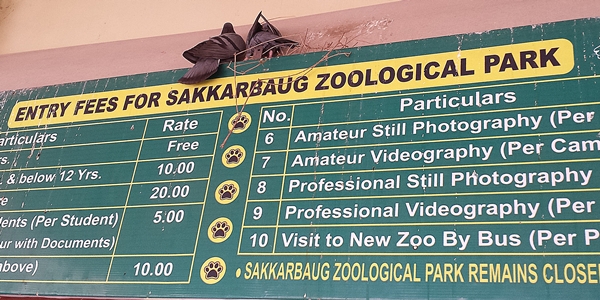 zoo 0